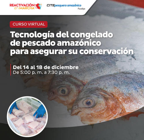 Tecnología del congelado de pescado amazónico para asegurar su conservación
