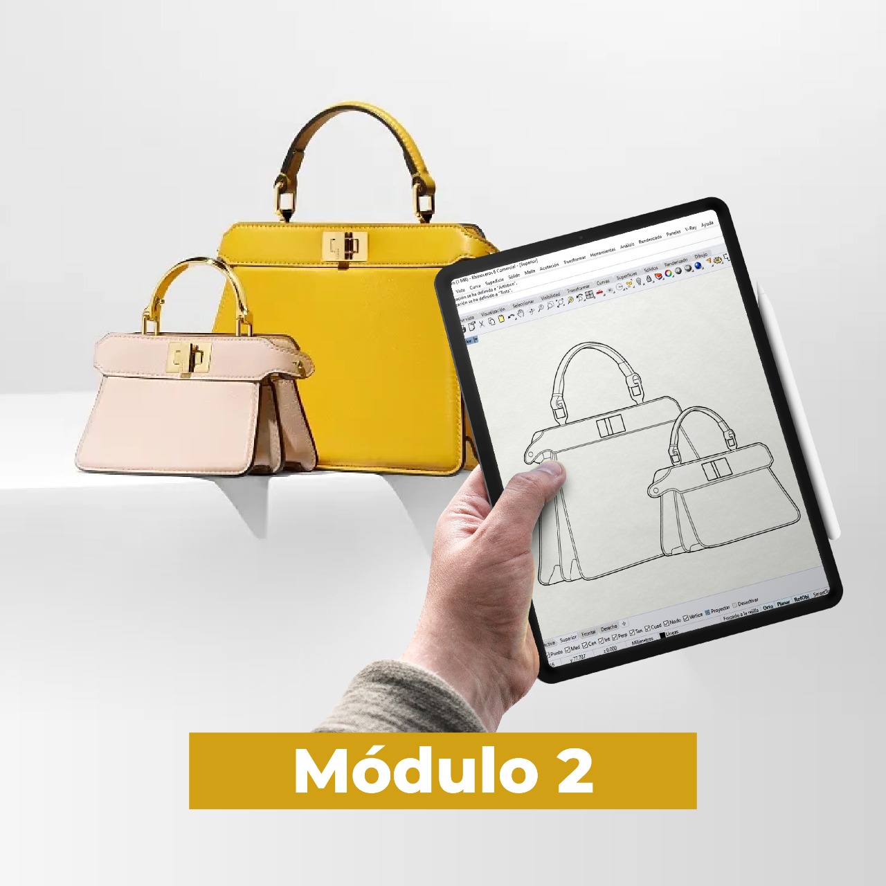 Capacitación modular en diseño e ilustración digital de marroquinería - M2